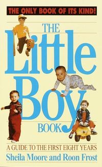 Produktbild: The Little Boy Book
