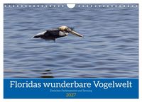 Produktbild: Floridas wunderbare Vogelwelt (Wandkalender 2027 DIN A4 quer), CALVENDO Monatskalender