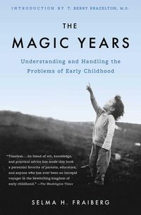 Produktbild: The Magic Years