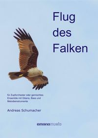 Produktbild: Flug des Falken