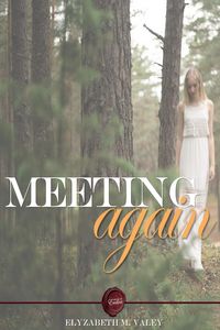 Produktbild: Meeting Again