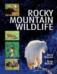 Produktbild: Hancock, D: Rocky Mountain Wildlife