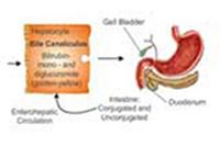 Produktbild: Estimation of Serum Bilirubin