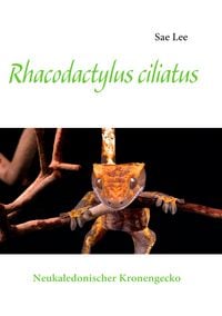 Produktbild: Rhacodactylus ciliatus
