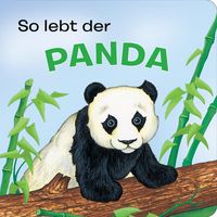 Produktbild: Tierkindergeschichten - So lebt der Panda - Pappbilderbuch mit farbigen Illustrationen f&uuml;r Kinder ab 18 Monaten