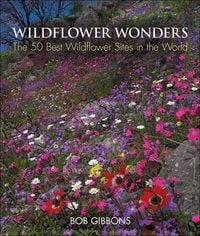 Produktbild: Wildflower Wonders