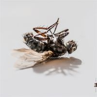 Produktbild: Hyperreal