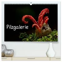 Produktbild: Pilzgalerie (hochwertiger Premium Wandkalender 2026 DIN A2 quer), Kunstdruck in Hochglanz