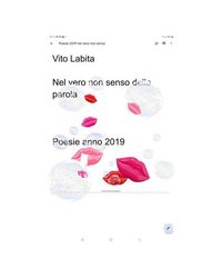 Produktbild: Nel vero non senso della parola