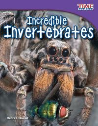 Produktbild: Incredible Invertebrates