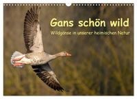 Produktbild: Gans sch&ouml;n wild (Wandkalender 2027 DIN A3 quer), CALVENDO Monatskalender