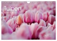 Produktbild: Tulpen - Hollands Stolz (Wandkalender 2026 DIN A4 quer), CALVENDO Monatskalender