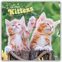 Produktbild: I Love Kittens &ndash; Ich liebe Katzenbabys 2027 &ndash; 16-Monatskalender