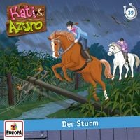 Produktbild: Folge 39: Der Sturm