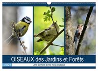 Produktbild: OISEAUX des Jardins et For&ecirc;ts (Calendrier mural 2027 DIN A3 vertical), CALVENDO calendrier mensuel