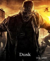 Produktbild: Dusk