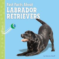 Produktbild: Fast Facts about Labrador Retrievers