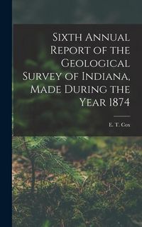 Produktbild: Sixth Annual Report of the Geological Survey of Indiana, Made During the Year 1874