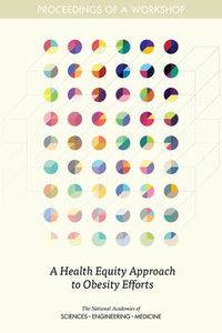 Produktbild: A Health Equity Approach to Obesity Efforts