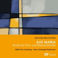 Bild vom Artikel Ave Maria - Musik für Chor und Bläserensemble vom Autor Rademann