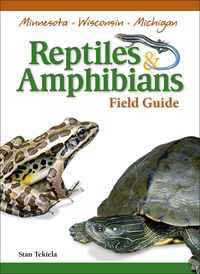 Produktbild: Reptiles & Amphibians of Minnesota, Wisconsin and Michigan Field Guide