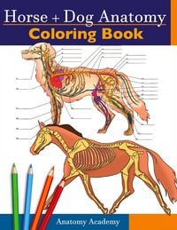 Produktbild: Horse + Dog Anatomy Coloring Book