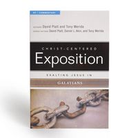 Produktbild: Exalting Jesus in Galatians