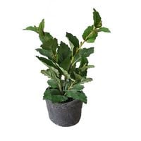 Produktbild: HTI-Living Kunstpflanze Flora01 im Topf Kunstpflanze Flora01 im Topf
