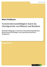 Produktbild: Systemwiderstandsf&auml;higkeit durch das Gleichgewicht von Effizienz und Resilienz
