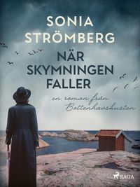 Produktbild: N&auml;r skymningen faller
