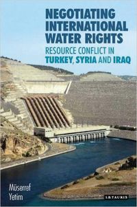 Produktbild: Negotiating International Water Rights