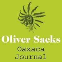 Produktbild: Oaxaca Journal