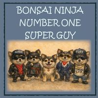Produktbild: Bonsai Ninja - Number One Super Guy!