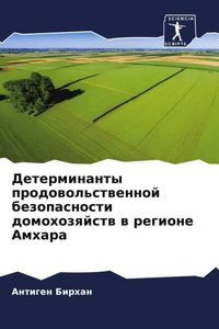 Produktbild: Determinanty prodowol'stwennoj bezopasnosti domohozqjstw w regione Amhara
