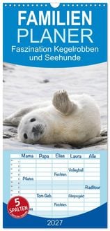 Produktbild: Familienplaner 2027 - Faszination Kegelrobben und Seehunde mit 5 Spalten (Wandkalender, 21 x 45 cm) CALVENDO