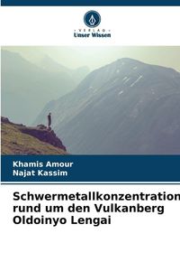 Produktbild: Schwermetallkonzentrationen rund um den Vulkanberg Oldoinyo Lengai