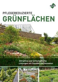 Produktbild: Pflegereduzierte Gr&uuml;nfl&auml;chen
