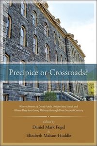 Produktbild: Precipice or Crossroads?