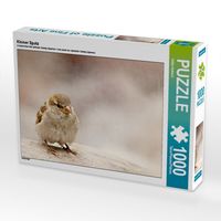Produktbild: CALVENDO Puzzle Kleiner Spatz | 1000 Teile Lege-Gr&ouml;&szlig;e 64x48cm Foto-Puzzle f&uuml;r gl&uuml;ckliche Stunden
