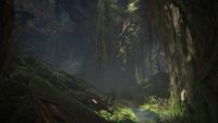 Monster Hunter World