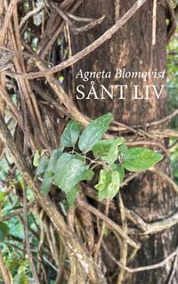Produktbild: S&aring;nt liv