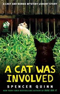 Produktbild: A Cat Was Involved