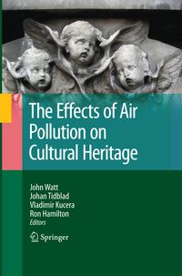 Produktbild: The Effects of Air Pollution on Cultural Heritage
