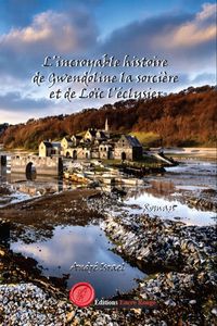 Produktbild: L incroyable histoire de