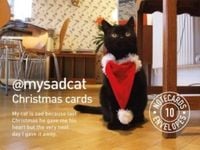 Produktbild: @mysadcat Christmas Cards