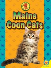 Produktbild: Maine Coon Cats