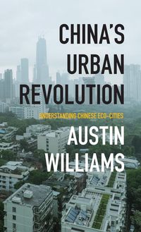 Produktbild: China's Urban Revolution