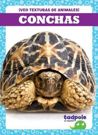 Produktbild: Conchas (Shells)