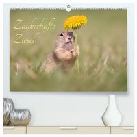 Produktbild: Zauberhafte Ziesel (hochwertiger Premium Wandkalender 2026 DIN A2 quer), Kunstdruck in Hochglanz