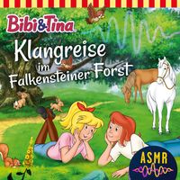 Produktbild: Klangreise im Falkensteiner Forst